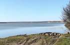Casa la 200 m de lac, acces balta Mostistea pentru pescuit!Judet Calarasi - 2