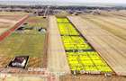 Teren de vanzare in Sanandrei Excelent pentru construc?ie - 2