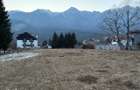 Teren intravilan Busteni - Piatra Arsa - 1