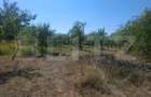 Teren constructii, 2493 mp, zona Central - 6