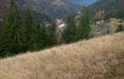 Vand teren intravilan - 5