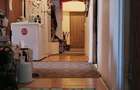 Apartament 4 camere, 101 mp, constructie 1982, Oltenitei - LIDL - 4