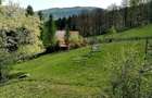 Teren Extravilan 23000 mp-potential turistic Valea Doftanei 8 euro/mp - 2