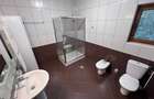 Inchiriere Casa Individuala Iancu Nicolae
