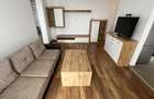 Apartament 2 camere cu gradina Dumbravita - 8