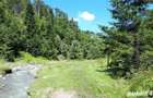 Teren si padure de vanzare in Bughea de sus Judetul Arges