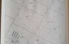 Magurele, Ilfov, strada Bradului, teren intravilan 2500 mp - 2