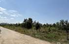 Teren intravilan Bascov - 3