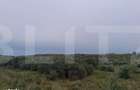 Teren extravilan, plantatie de catina 17.300 mp, comuna Unteni