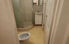 Proprietar inchiriez Gars DrTaberei -Plaza Sector 6 Bucuresti - 7