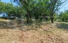 Casa cu 2 camere, 250 mp, zona sud-est - 16