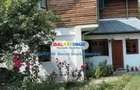 Vanzare vila 4 camere ,730 mp zona Izvoarele, jud Prahova - 6