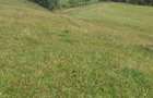 Teren 24134 mp Ciocanesti, Jud. Suceava - 2