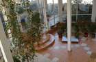 Casa de vanzare Parter + Mansarda  - 2