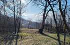 Teren cu vita de vie comuna Cristian judetul Sibiu - 5