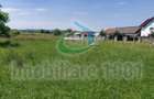 Cicarlau, teren intravilan, zona de case, suprafata 2936 mp - 2