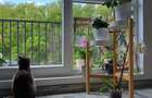 Apartament 3 camere - centrala proprie - Parc Mogosoaia - 16