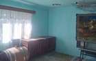Casa de vanzare cu livada, fanta, 98 mp, Str. Principala - Coada Malul - 10