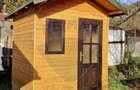 Proprietate de vis la munte | Foisor + Cabanuta | Utilitati complete - 3