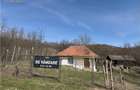 Teren Parcelabil I 11400 MP I Corpadea - 1