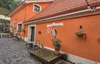 Pensiune de vanzare in Sighisoara - 15
