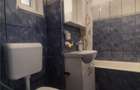Inchiriere apartament 2 camere zona Malu Rosu - 8