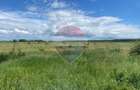 DE VANZARE Teren intravilan 5.000 mp Sector 1, Piscu Mosului