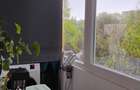 Apartament 3 camere zona Brancoveanu - 3