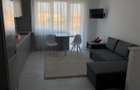 Apartament de 3 camere, 63 mp , Zona Teilor - 8