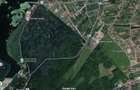 Teren de 500 mp, la marginea Padurii Snagov
