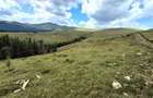 Teren intravilan Roman 2 loturi, 2.000 mp la 1.750 m, langa Refugiul Vf. Ursu - 4