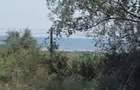 Teren 500 mp, Corbu,Constanta - 2