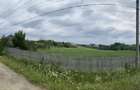 Proprietar - Vand teren 4300 mp (intravilan + extravilan) in comuna Cocu, Arges - 4