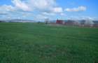 Teren Construcții intravilan de 868 mp, în Sopor