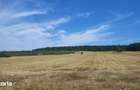 Teren extravilan de vanzare Barsau, jude?ul Hunedoara 7 hectare