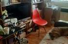 Garsonieră 20mp, Câmpina str Ecaterina Teodoroiu , 22000euro  - 6