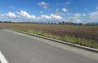 Teren intravilan 9.000 mp cu PUZ * Zona Industriala Vest Sibiu - 2