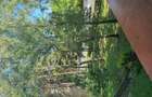 Vand 2 camere strada Saturn