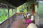 Vanzare teren 3000 mp, cabana, zona D D Rosca, Faget