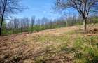 Teren de vanzare in suprafa?a de 5.5 ha
