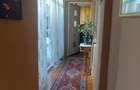 Casa cu teren generos Zona Stadion - Delfinariu | 500 mp | 2 corpuri - 5