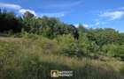 De vanzare teren extravilan 8,2037 ha padure ?i pa?une Borod, Bihor - 2