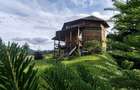 Casa de vacanta Bucovina - de vanzare - 12