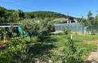 Casa Sat Scurta Bacau - 7