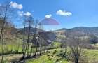 Teren 7,495mp Barsana / Valea Muntelui - 2