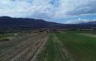 Teren Jiblea Noua Calimanesti