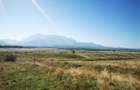 Teren plat Rasnov - Bran cu vedere panoramica - 1