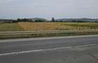 Teren intravilan 2.900 mp la DN17, Uriu front 18,5 m, toate utilit - 5