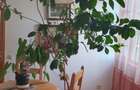 Apartament cu 3 camere decomandate Zona Ultracentrala - 5