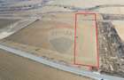 Teren extravilan 10000 mp langa Medias - oportunitate de ... - 3